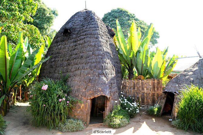 Omo Valley Tribe Tours 8 Days - Mursi Villages and Mago National Park
