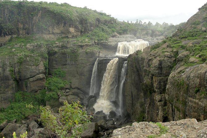 Private Day Trip to Debre Libanos Portuguese Bridge Galada Baboon - What this day trip is really like