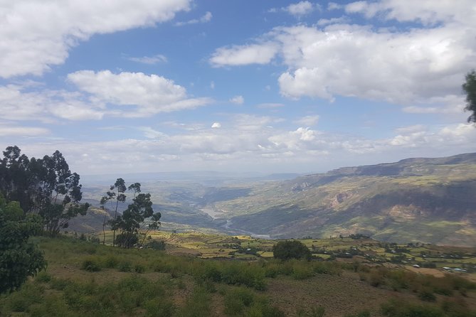 Private Day Trip to Debre Libanos Portuguese Bridge Galada Baboon - Mount Entoto and the view over Addis Ababa
