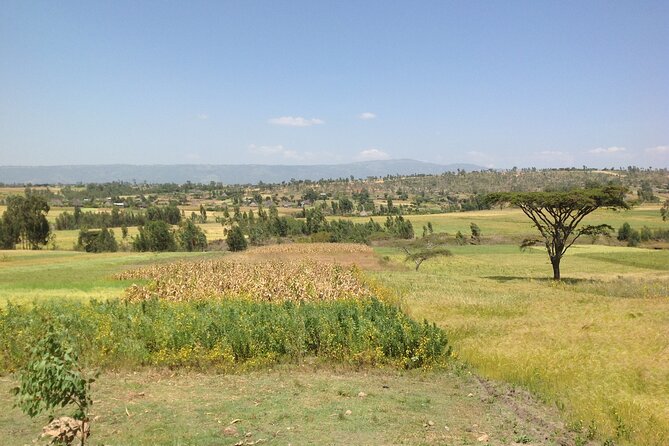 Private Full-Day Stone Age and Medieval Tour from Addis Ababa - Melka Kunture: Stone Age evidence in the open air