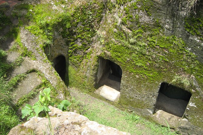 Private Full-Day Stone Age and Medieval Tour from Addis Ababa - Tiya: a field of mysterious stone markers