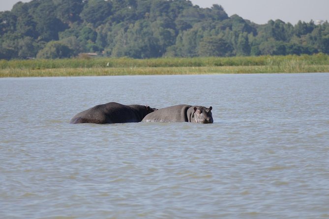 Private Guided Tours To Bahir Dar Lake Tana Monastery & Blue Nile Waterfalls - Key points to know before booking
