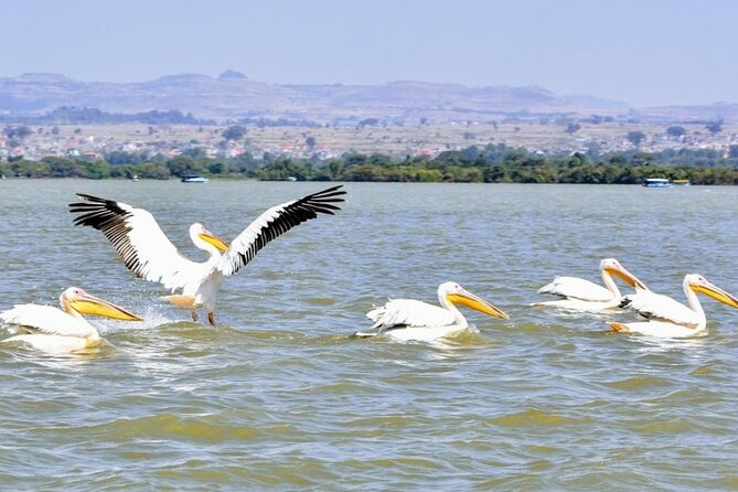 Private Guided Tours To Bahir Dar Lake Tana Monastery & Blue Nile Waterfalls - Driving to Tis Isat and the Blue Nile Falls
