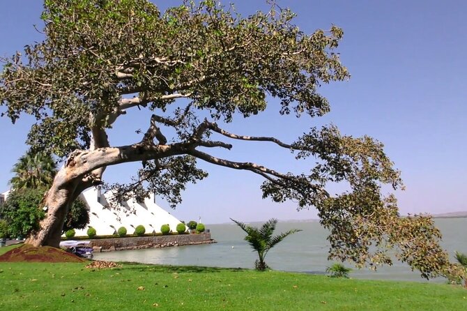 Private Guided Tours To Bahir Dar Lake Tana Monastery & Blue Nile Waterfalls - Transport, pickup, and the pace of the day