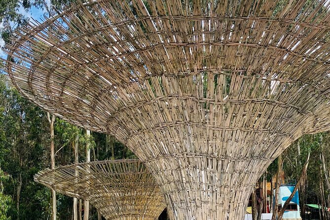 Private Half Day Guided tour in Addis Ababa New Flower - Mercato, where the city gets practical