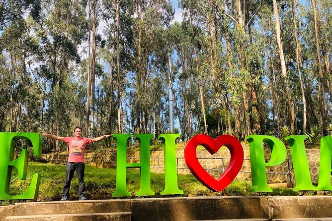 Private Half Day Guided tour in Addis Ababa New Flower - Patriots Square before the Mercato visit
