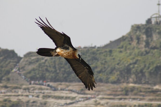 Rock Churches of Lalibela Guided Tour - Starting at Lalibela Airport at 2:00 pm