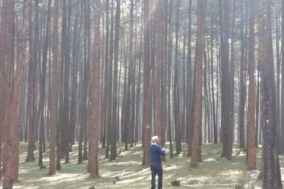 Round Trip to Menagesha Suba Forest Park