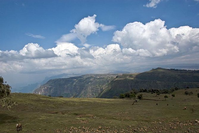 Simien Mountains – 4 Days - Fitness, altitude, and what to pack