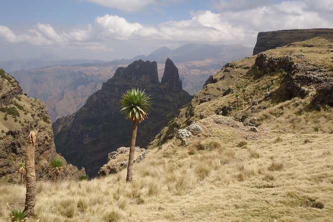 Simien Mountains National Park – 7 Day Trek - Day 6: Rivers, vervet monkeys, and the steep finish at Mulit