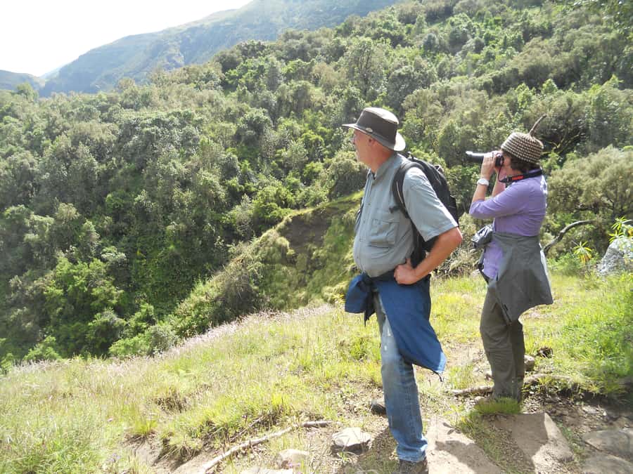 Simien Mountains One Day Trip:Wildlife Spotting,Hiking Tour - Why this Gondar to Simien trip works well