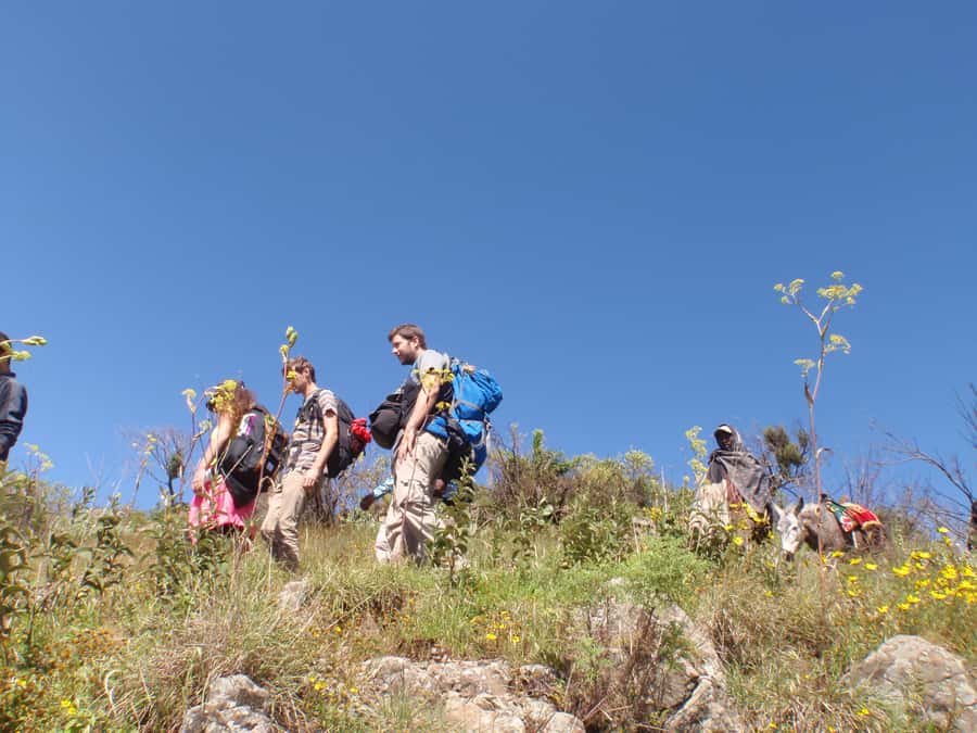 Simien Mountains One Day Trip:Wildlife Spotting,Hiking Tour - Entering the park after the 22-kilometer drive