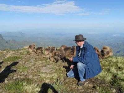 Simien Mountains One Day Trip:Wildlife Spotting,Hiking Tour