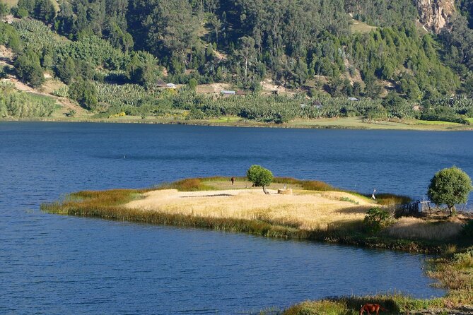 Stunning Views Wonchi Crater Lake a Private Day Trip - Why Wonchi Crater Lake is worth the long drive