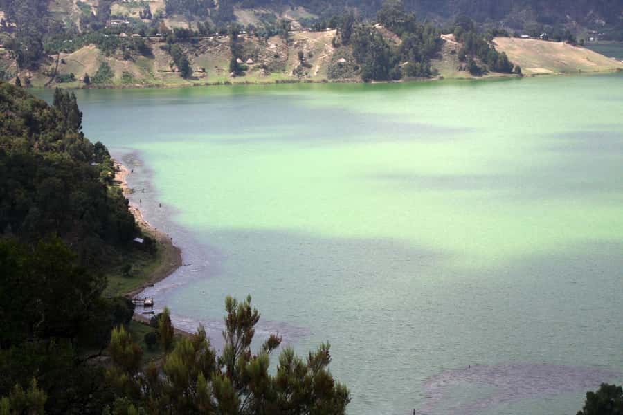 Stunning Views Wonchi Crater Lake a Private Day Trip - Is $205 per person good value?