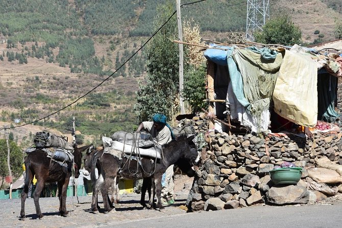 The Best way to Discover Addis Ababa - Finding your way through Mercato