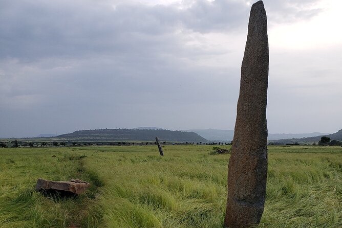 Two Days Trip in Axum and its Surroundings - The guide can shape the whole experience