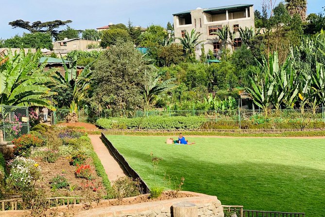 Walking Tour of Addis Abeba - Discover Addis the Authentic way - Walking, taxis, and the shape of the day